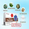 Viên uống trị viêm loét dạ dày Bình Vị Thái Minh