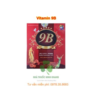 vitamin 9B