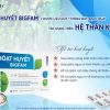 Hoạt huyết Bigfam hỗ trợ hoạt huyết giúp tăng cường tuần hoàn máu não