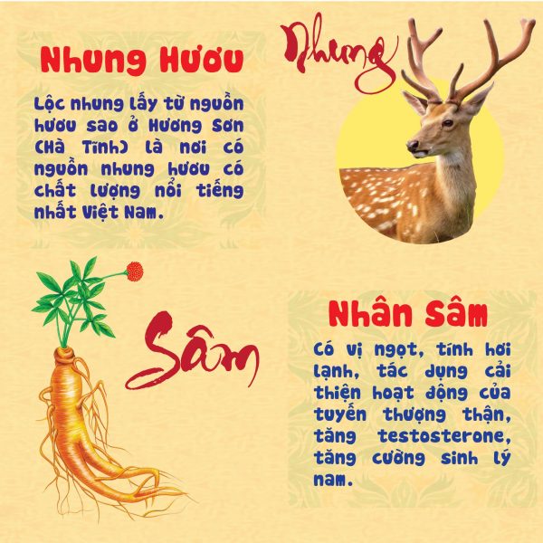 Sâm nhun bổ thận Hadiphar