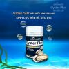 Tinh chất hàu Oyster Plus