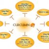 Nanocurcumin HVQY giảm các triệu chứng đau dạ dày, hành tá tràng.