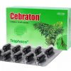 Bổ não Cebraton