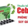 Bổ não Cebraton