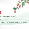 Trà cà gai leo Lava hỗ trợ điều trị viêm gan, men gan cao