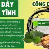Dạ dày Tuệ Tĩnh