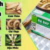 Dạ dày Tuệ Tĩnh