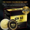 sìn sú đại việt